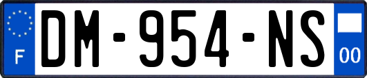 DM-954-NS