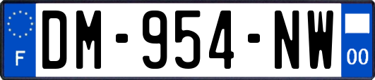 DM-954-NW