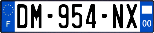 DM-954-NX