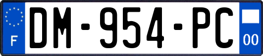 DM-954-PC