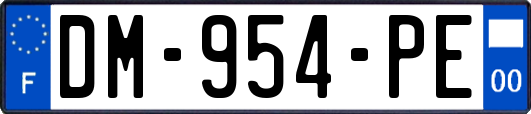 DM-954-PE
