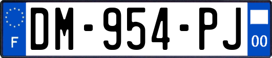 DM-954-PJ