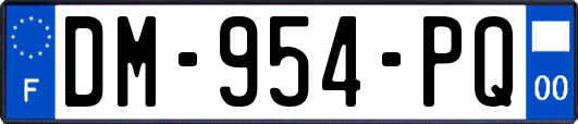DM-954-PQ