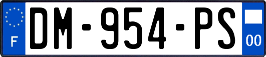 DM-954-PS