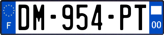 DM-954-PT