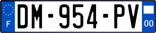 DM-954-PV