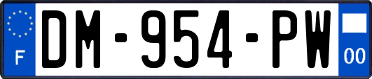 DM-954-PW