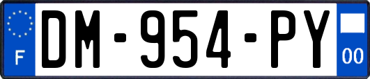 DM-954-PY