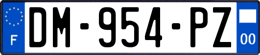 DM-954-PZ