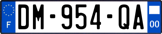 DM-954-QA