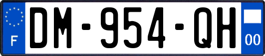 DM-954-QH