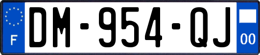 DM-954-QJ