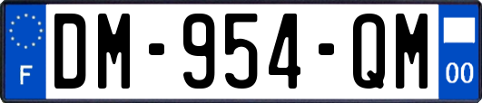 DM-954-QM