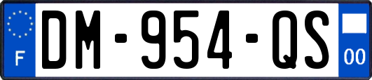 DM-954-QS