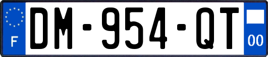 DM-954-QT