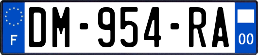 DM-954-RA