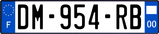 DM-954-RB