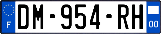 DM-954-RH