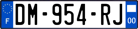 DM-954-RJ