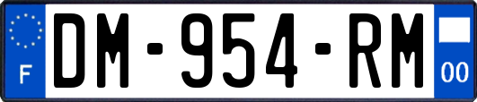 DM-954-RM