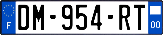 DM-954-RT