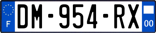 DM-954-RX