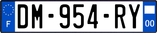 DM-954-RY