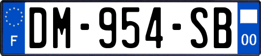 DM-954-SB