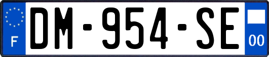 DM-954-SE