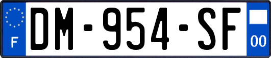 DM-954-SF