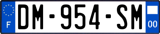 DM-954-SM