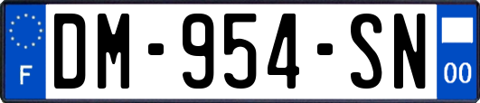 DM-954-SN