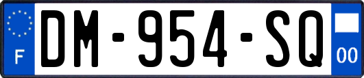 DM-954-SQ