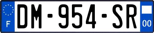 DM-954-SR