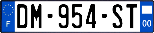 DM-954-ST