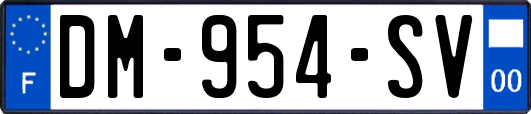 DM-954-SV