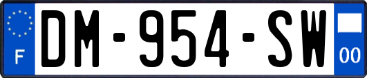 DM-954-SW