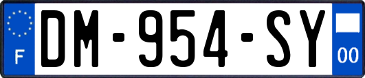 DM-954-SY