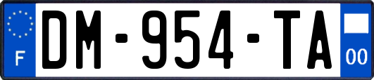 DM-954-TA