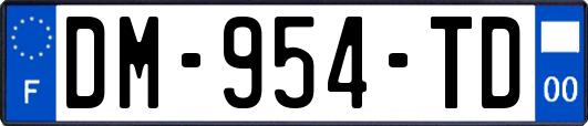 DM-954-TD