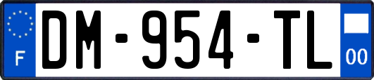 DM-954-TL