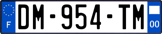 DM-954-TM