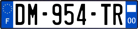 DM-954-TR