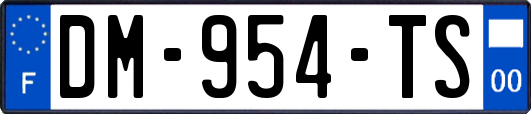 DM-954-TS