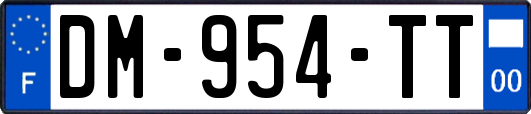 DM-954-TT