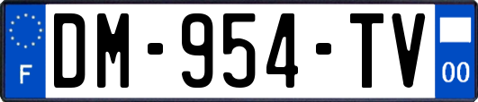 DM-954-TV