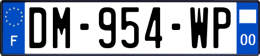 DM-954-WP