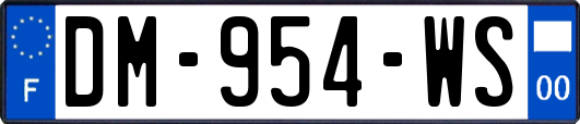 DM-954-WS