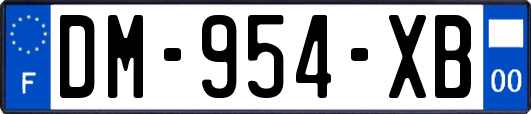 DM-954-XB