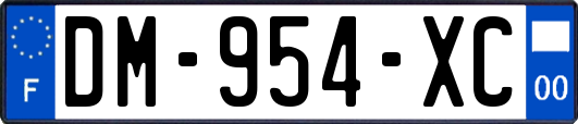 DM-954-XC